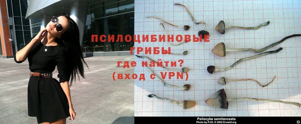 гидропоника Богородск