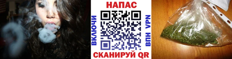 Конопля планчик  Кирсанов 